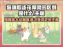 猫咪和汤花椰菜大起底！在游戏中 hilariously 对决 🐱