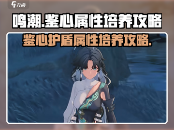 鸣潮⚡鉴心护盾属性培养攻略💡截图1