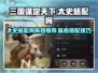 三国谋定天下🔥太史慈配将阵容大曝光！