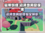 磁带妖怪沼泽地洞窟怪物大揭秘🔥游戏党必看！