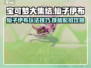 宝可梦大集结🔥仙子伊布技能配招攻略✨