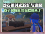 沙石镇时光🔥挖矿后必做任务清单，轻松脱坑指南！
