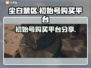 尘白禁区：初始号购买平台大揭秘！🎮🔥