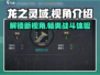 龙之灵域🔥视角介绍，游戏玩法全揭秘！