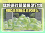 猛兽派对蔬菜精灵大起底！游戏隐藏彩蛋🎉