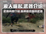 浪人崛起🔥武器大全！游戏党必看👇
