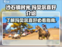 《沙石镇时光》玛贝尔喜好大揭秘🔥