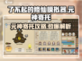 《了不起的修仙模拟器》元神寄托攻略🔥