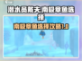 潜水员戴夫🔥南极章鱼选择攻略来啦！🎮
