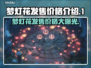 梦灯花发售价格💰游戏党必看！🔥