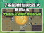了不起的修仙模拟器😎大保健玩法揭秘🎉