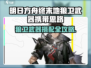 《明日方舟狼卫武器搭配🔥》🧬🗡