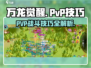 万龙觉醒🔥PVP操作细节技巧大公开！