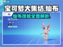 《宝可梦大集结》仙布技能超详解，必看🔥