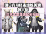 明日方舟🔥终末地烛美真实身份曝光！不容错过的秘密✨