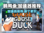 鹅鸭杀🎉加速器推荐，玩鹅鸭杀必看！