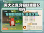 离火之境🔥宠物技能搭配推荐，秒杀boss必备！