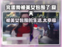 完蛋！被美女包围了夏天角色大揭秘🔥👙