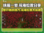 《扶摇一梦》🌸隐藏花海位置大曝光！快来看🔥