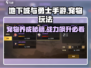 地下城与勇士手游🔥宠物玩法全揭秘！新手必看💥