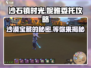 沙石镇时光🔥妮雅委托一超简单攻略✨