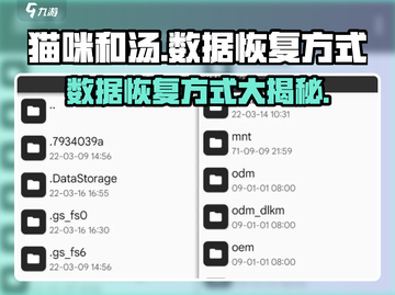 猫咪和汤：数据恢复大揭秘！💥游戏党必看🔥截图1