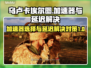 乌卢卡埃尔图加速器大比拼！游戏延迟解决方案来了💥🎮