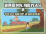 波西亚时光手游拍照攻略🌟轻松GET最美瞬间！