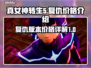 真女神转生5复仇版💰价格大揭秘🔥