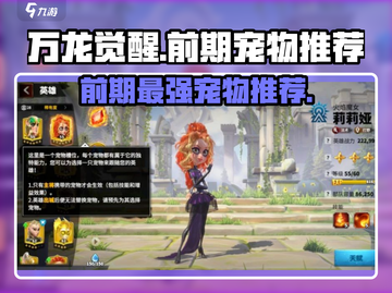 万龙觉醒🔥前期最强宠物推荐🎉截图1