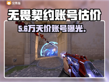 无畏契约账号值多少？💰速查估价平台！截图1