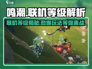 鸣潮手游联机等级大揭秘！🔥新手必看⚡截图1