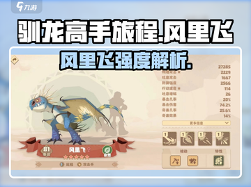 驯龙高手旅程：风里飞🔥超强强度解析🎮截图1