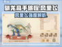 驯龙高手旅程：风里飞🔥超强强度解析🎮
