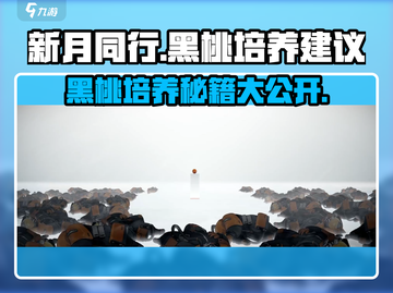 新月同行🔥黑桃培养超详细攻略♠截图1