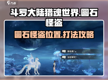 斗罗大陆猎魂世界🔥圆石怪盗打法攻略📍截图1