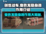 创世战车🔥变色龙隐身器让你无敌于战场！