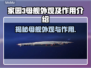 家园3母舰外观曝光，游戏迷必看🔥🚀