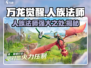 万龙觉醒🔥人族法师超强攻略🌟