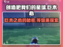 创造吧我们的星球🔥巨木心玩法全揭秘🎉