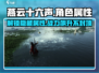燕云十六声🔥人物属性全揭秘！游戏党必看✨