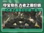 夺宝奇兵古老之圈🔥超值售价大揭秘！🎉