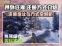 界外狂潮💥注册地址及方式大公开！📌