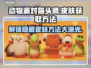 动物派对猫头鹰皮肤🔥免费获取方法🎉
