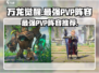 万龙觉醒🔥最强PVP阵容组合爆料！