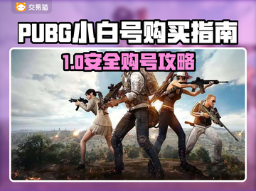 🔥PUBG小白号哪里买？安全平台大公开！🎮截图1