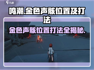 鸣潮⚡金色声骸位置曝光！速来打卡🔥截图1
