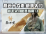燕云十六声🔥新手必看！快速上手攻略🎉