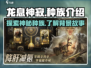 龙息神寂：🔥种族大全揭秘！🎮