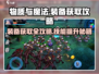 物质与魔法🔥装备技能速成秘籍！🎮